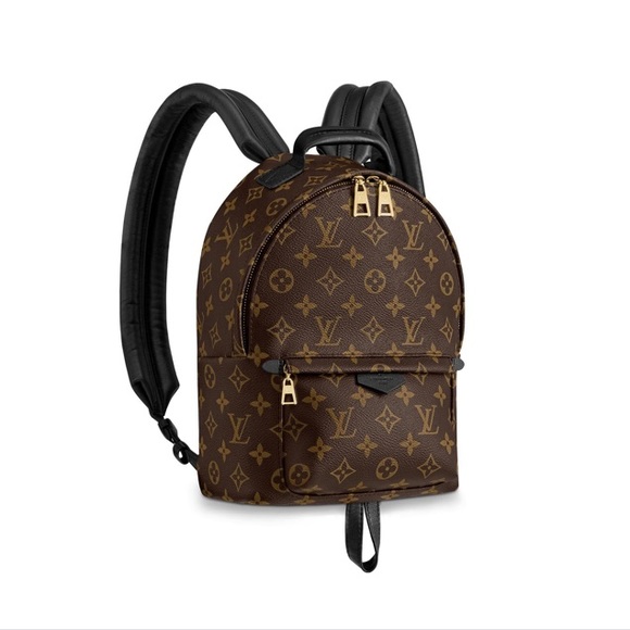 Louis Vuitton Handbags - • Louis Vuitton Palm Springs Mono Backpack •